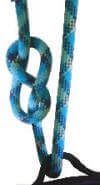 Figure 8 Knot - 1