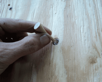 Golf Tee in T-Nut Hole